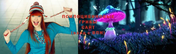 а пвп мука Баксан