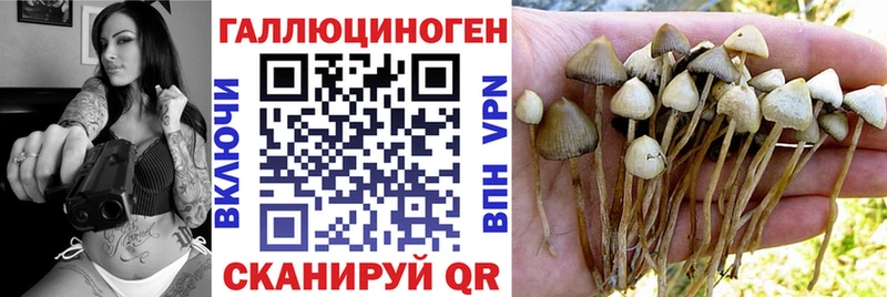 Галлюциногенные грибы Psilocybe  Кемь 